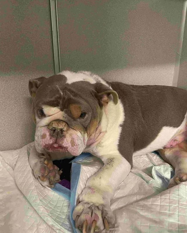 post — Dec 24–29 2024