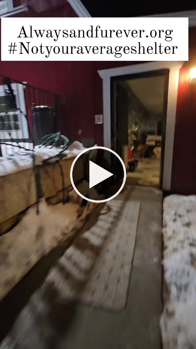 video — Jan 23 2025