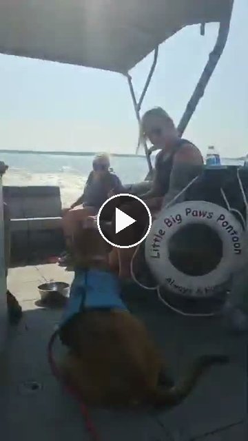 video — Aug 2 2026