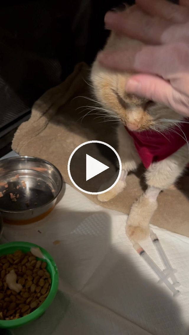 video — Mar 9–12 2025