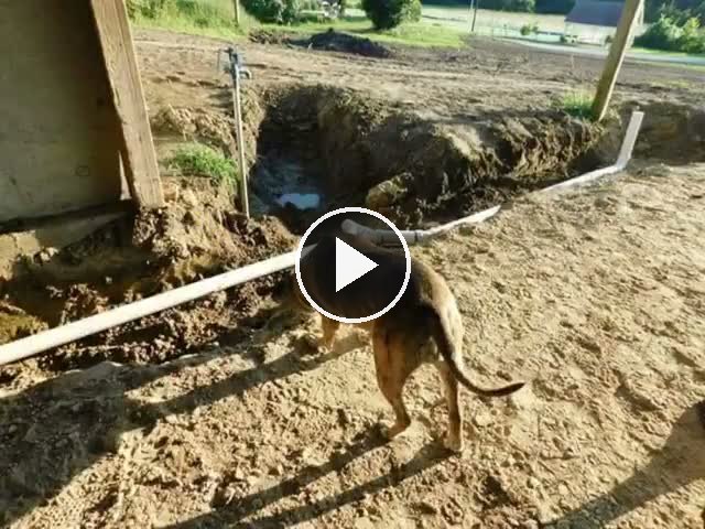 video — Aug 9 2017