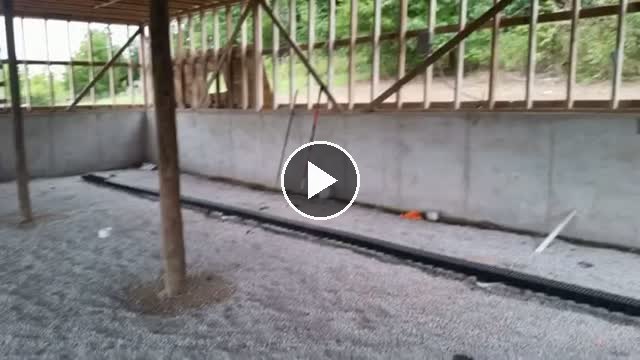 video — Aug 16 2017