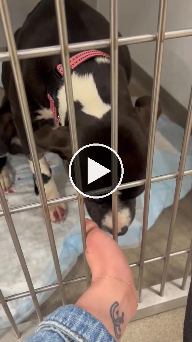 video — Apr 27–May 3 2025