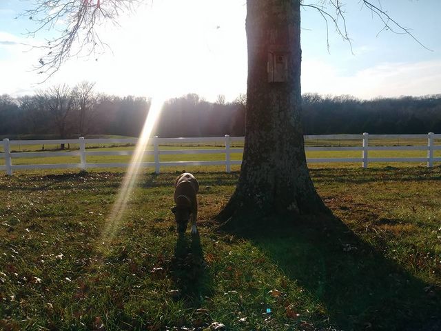 post — Dec 4 2017