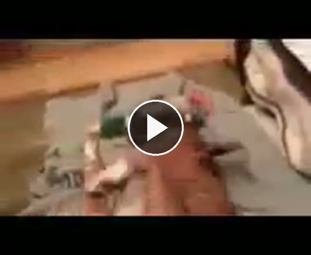 video — Jan 3 2018