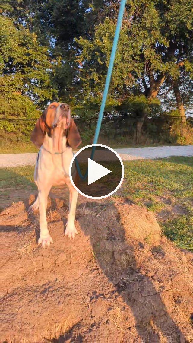 video — Aug 23 2025