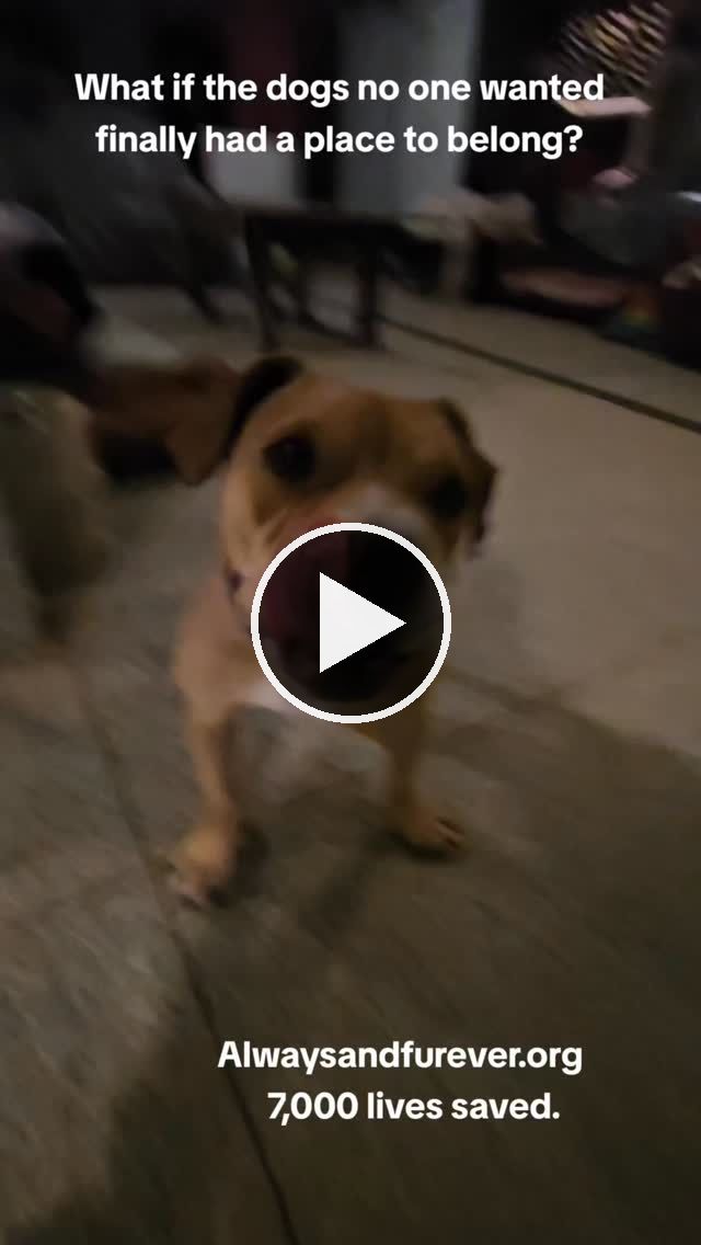 reel — Oct 25 2025