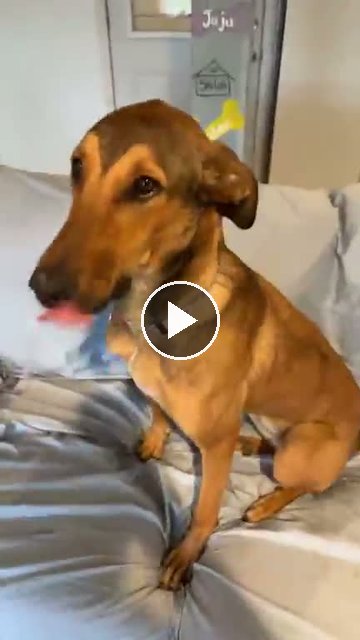 video — Jul 29 2026