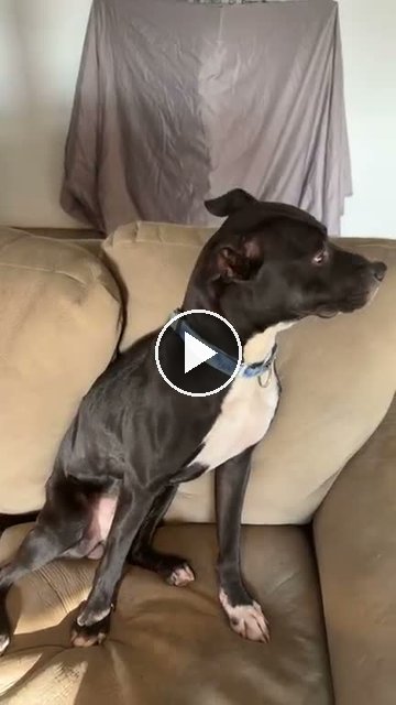video — Jul 27 2026