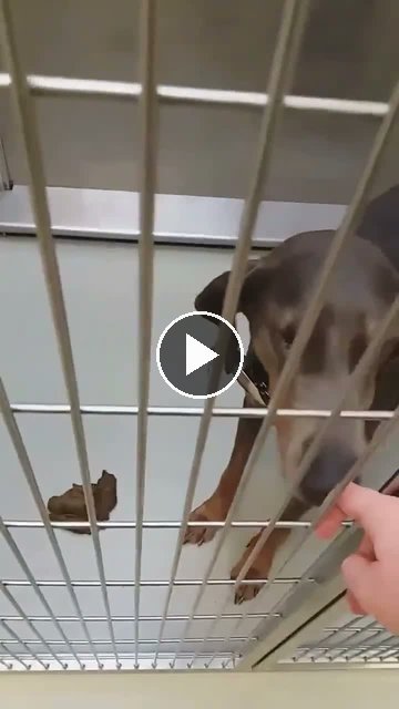 video — Nov 13 2018