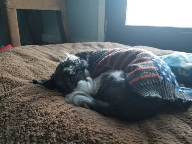 post — Dec 2 2018