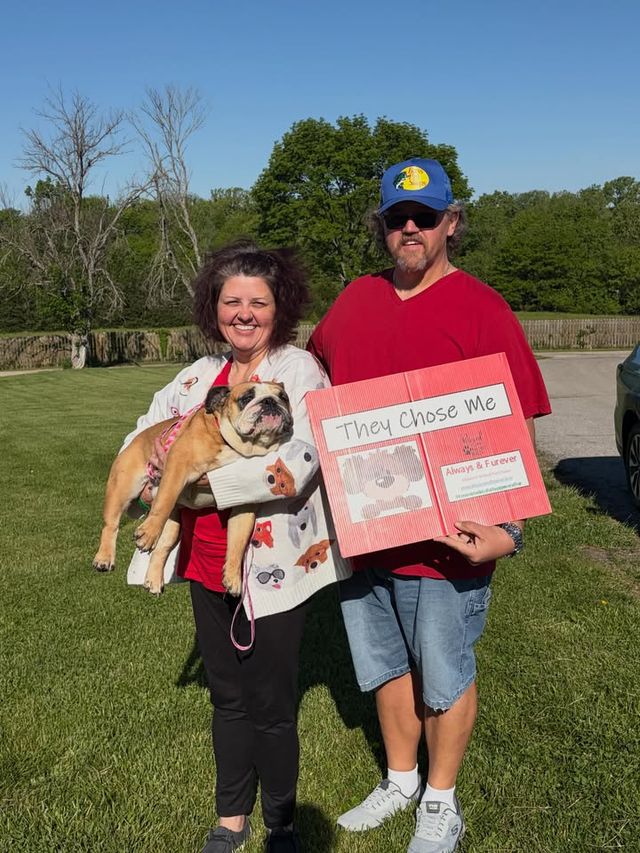 adoption — May 8 2026