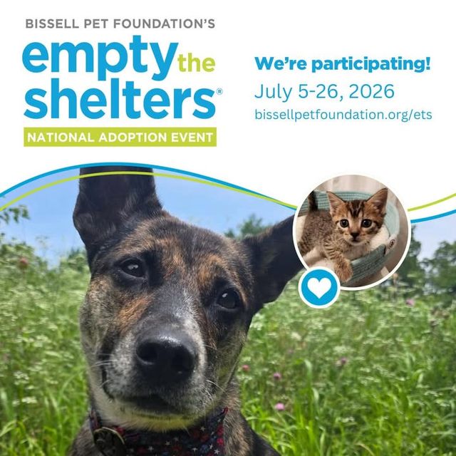 announcement — Jul 5–26 2026