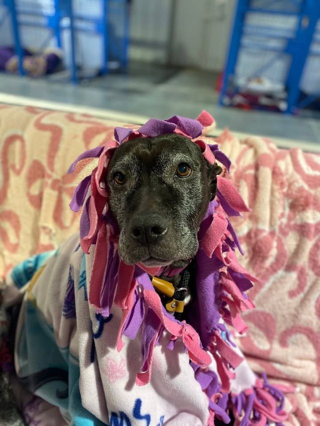 announcement — Jul 9 2026