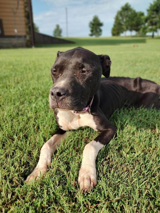 farewell — Jul 14–16 2026