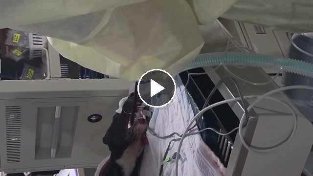 video — Jul 27 2026