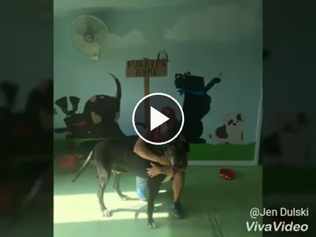 video — Mar 27 2019