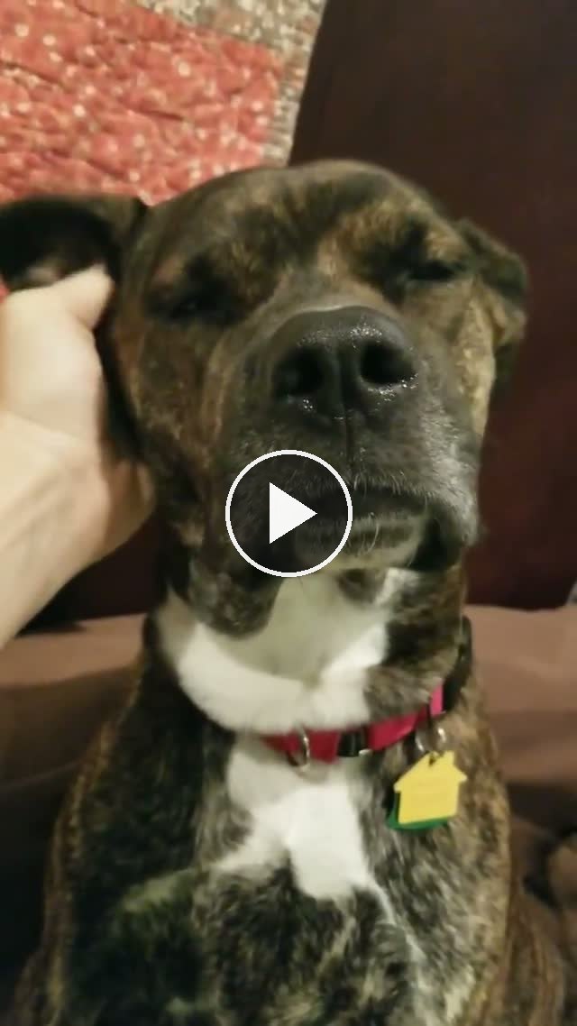 video — May 1 2019