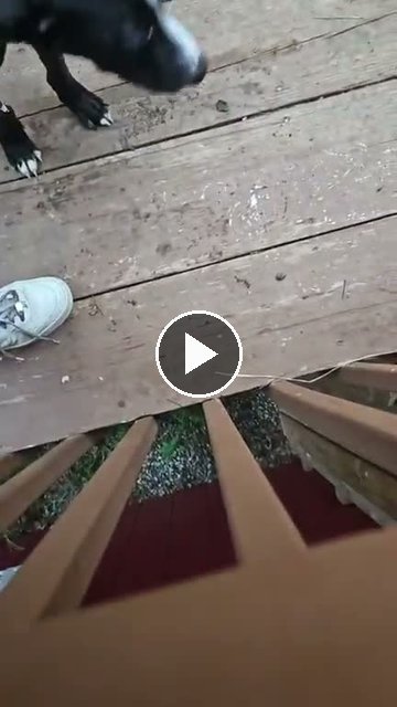 video — Jul 29 2026