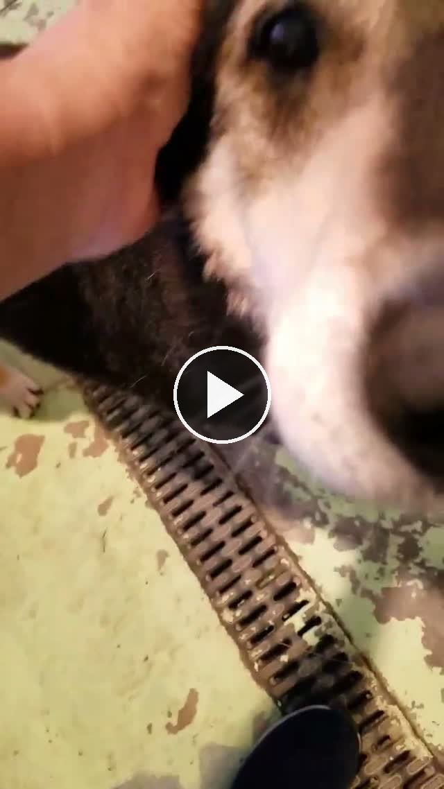 video — May 13 2019