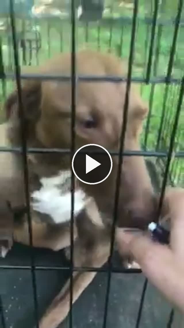 video — Jun 12 2019