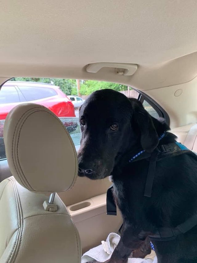 post — Jul 5 2019