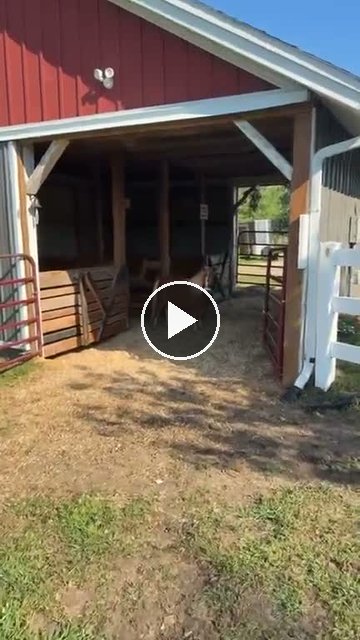 video — Aug 2 2026