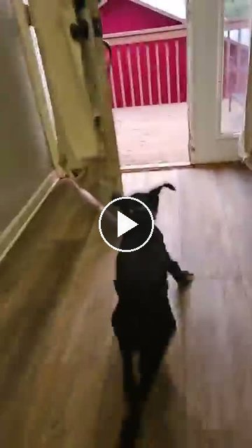 video — Jul 30 2026