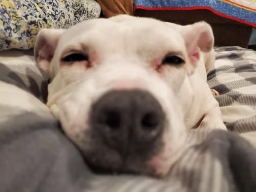 post — Dec 5 2019