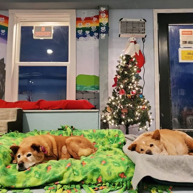 post — Dec 13 2019