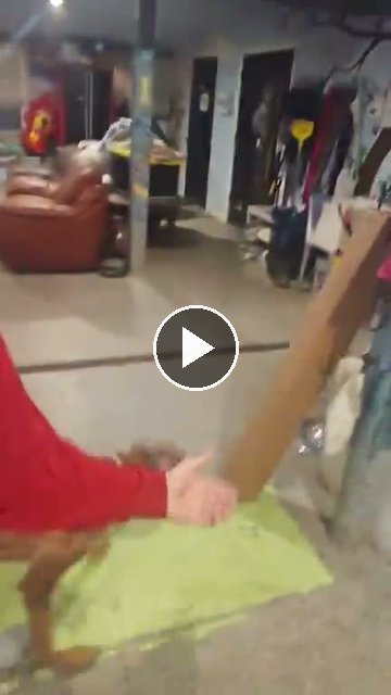 video — Jul 31 2026