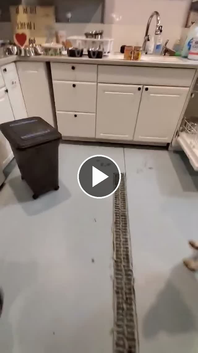 video — Jan 18 2020