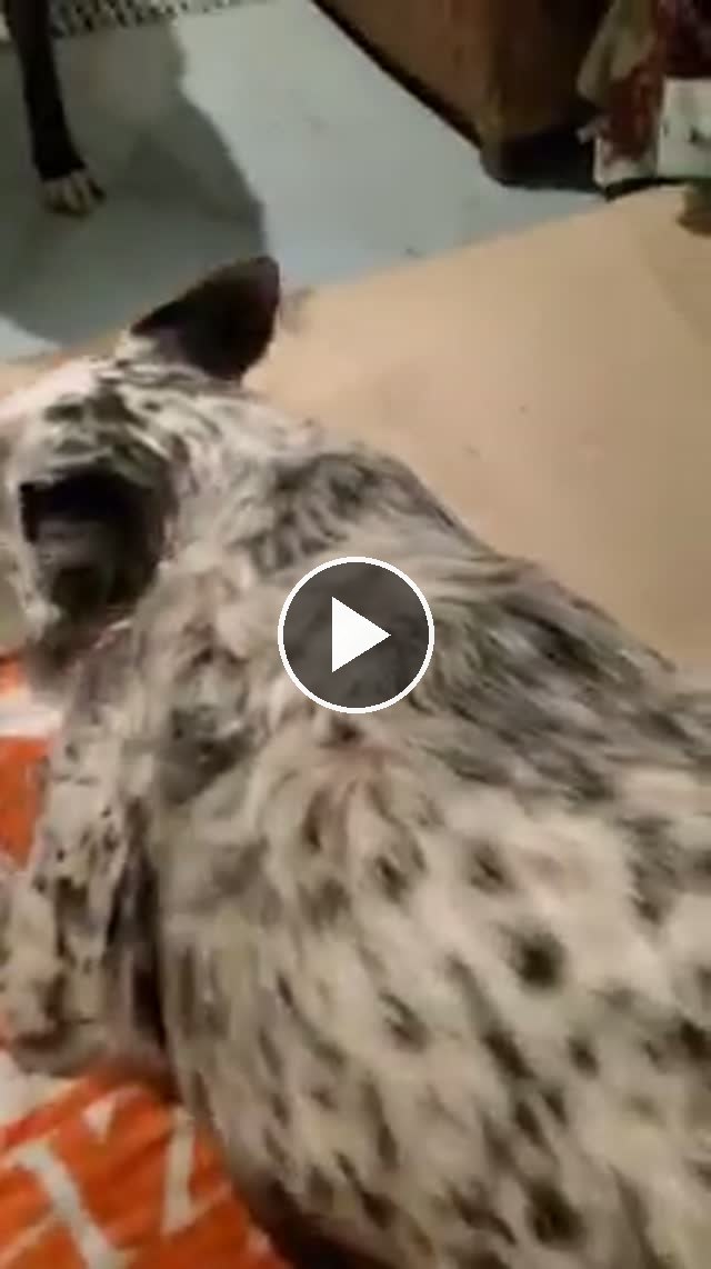 video — Jan 25 2020