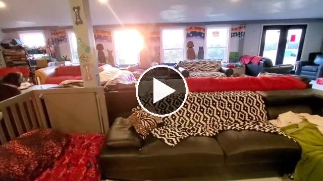 video — Oct 2 2020