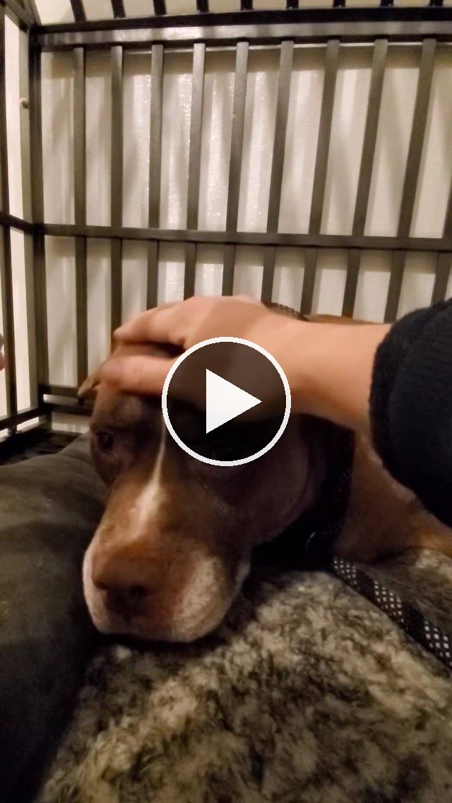 video — Oct 5 2020