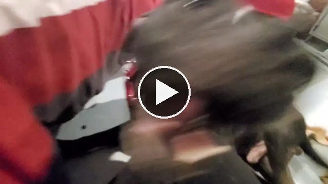 video — Oct 14 2020