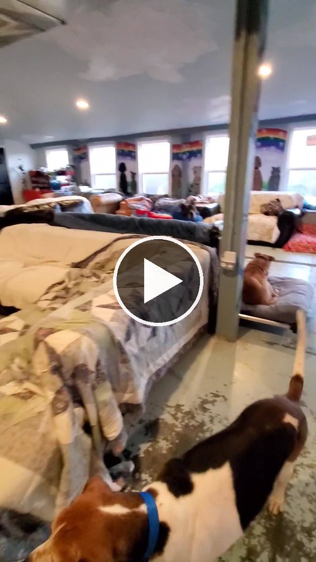 video — Nov 20 2020