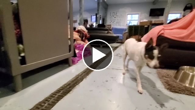 video — Nov 25 2020