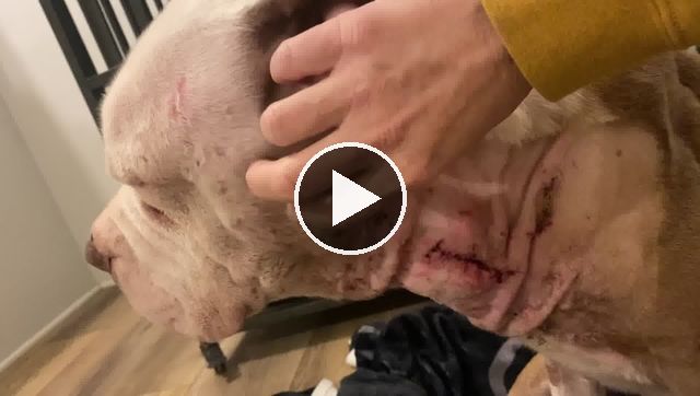 video — Jan 20 2021