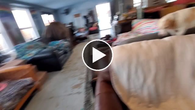 video — Feb 20 2021
