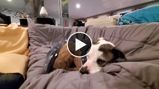 video — Mar 15 2021