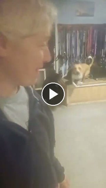 video — Aug 2 2026