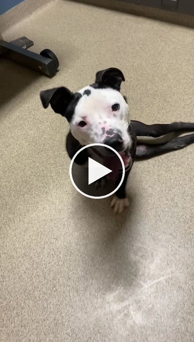video — Apr 17 2021