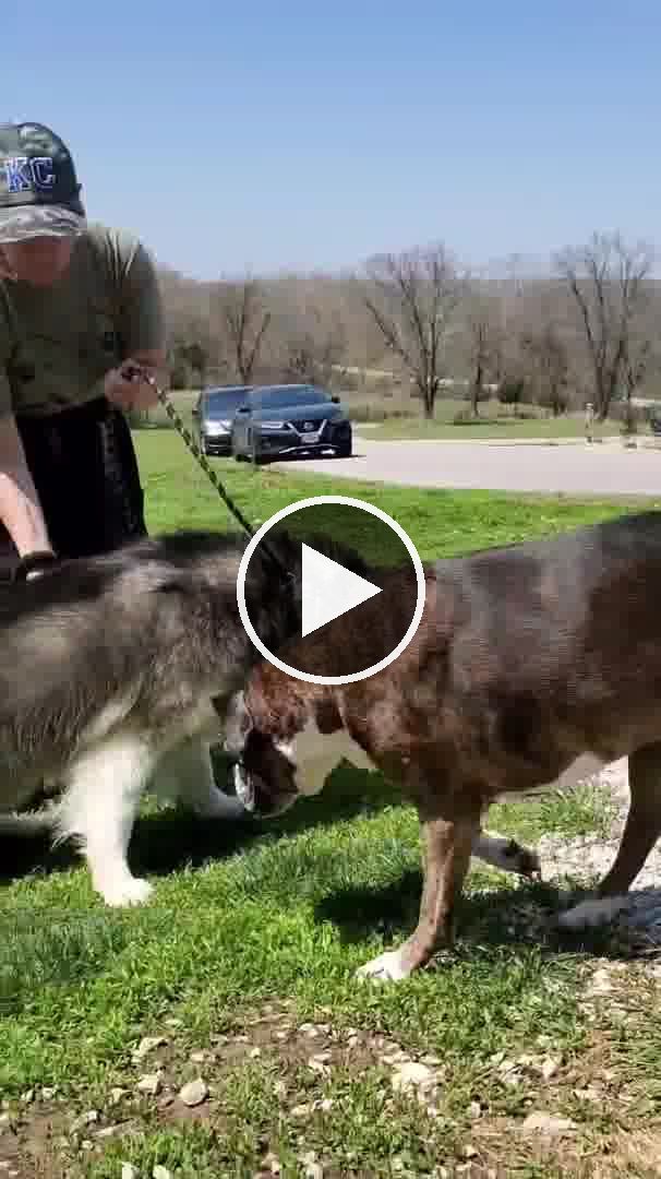 video — Apr 24 2021