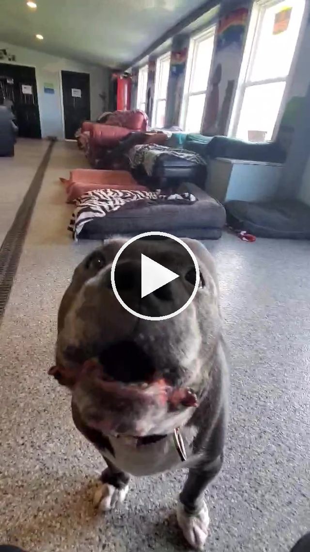 video — May 1 2021