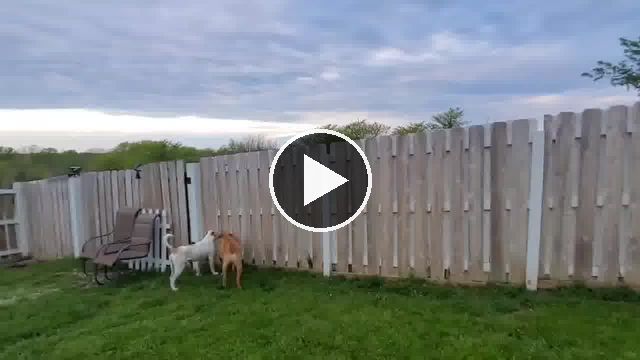 video — May 12 2021