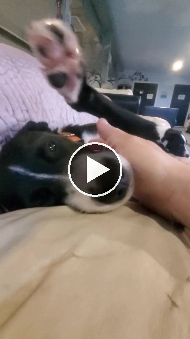 video — May 24 2021