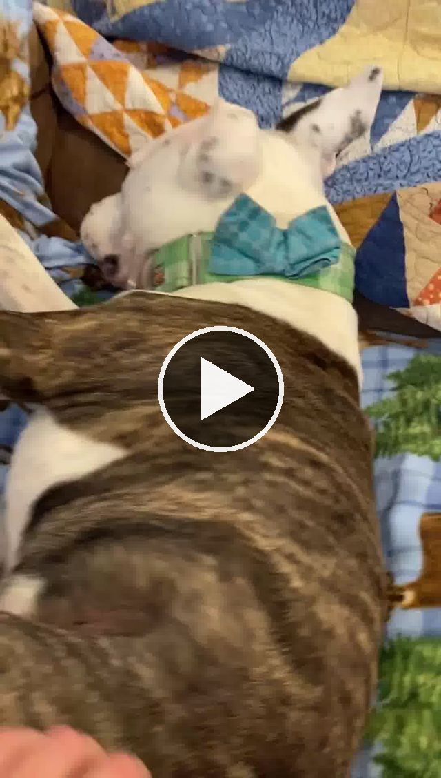 video — Jun 1 2021