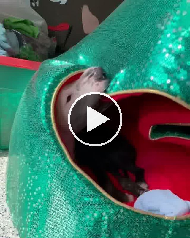 video — Jun 5 2021