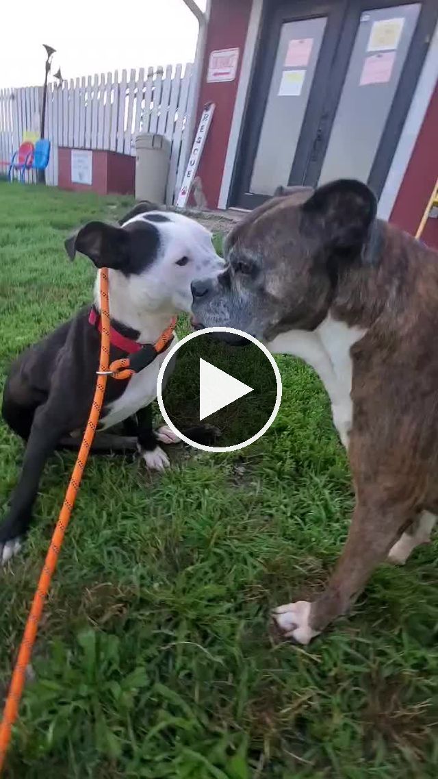 video — Jul 9 2021